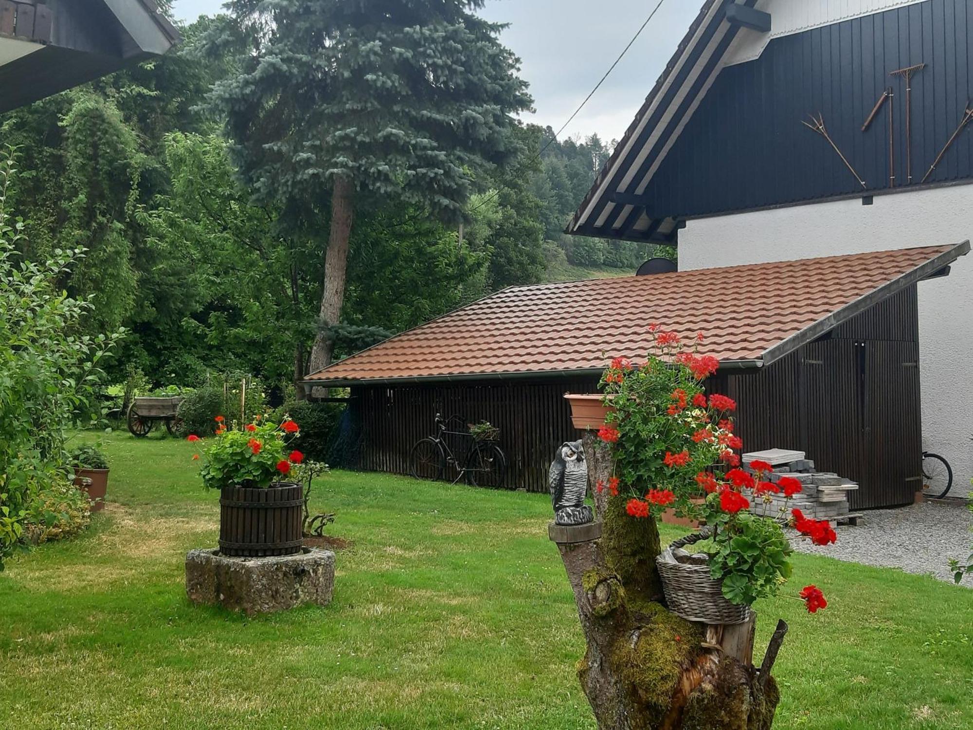 Ferienapartment Karle Nordrach Buitenkant foto